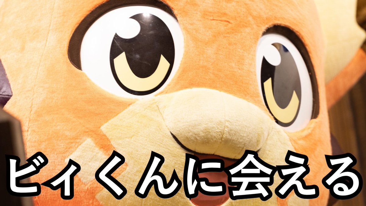 Icicles_s's tweet photo. グラフェスに来なさい https://t.co/gILjQfcgJp