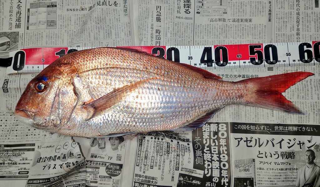いなり tweet media