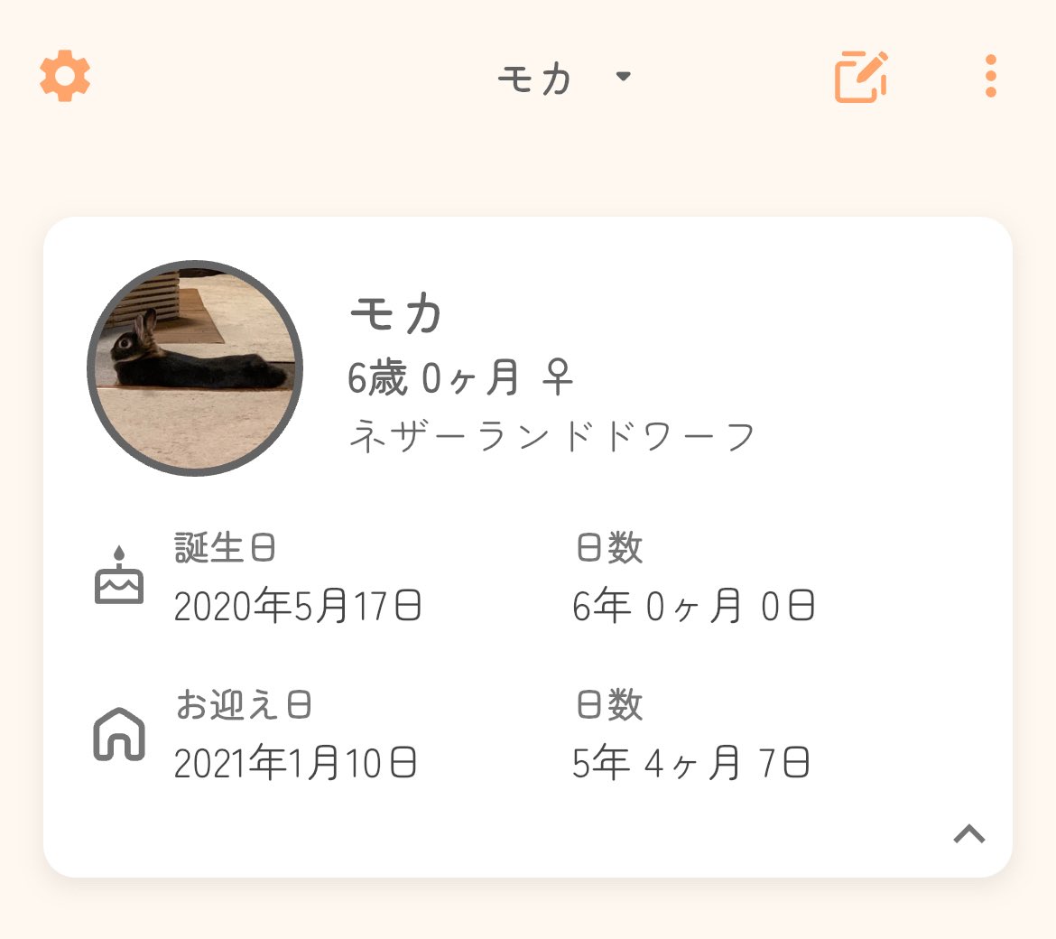 まかろん(42)｜美容・ダイエット tweet media