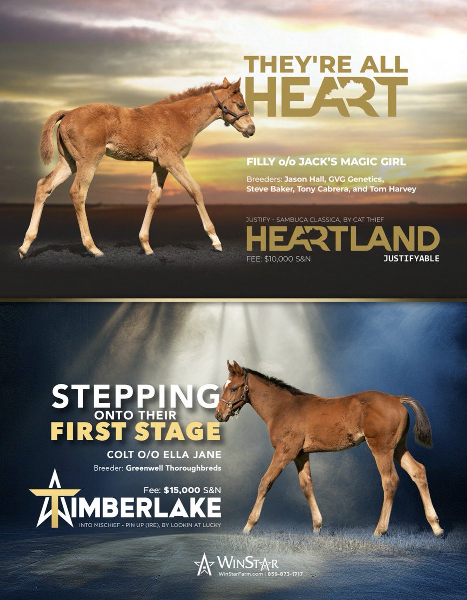 theTDN's tweet photo. Foals by @WinStarFarm’s Heartland 💛 are all heart while ⭐️Timberlake’s foals stepping on to their first stage. https://t.co/rbijemTv23