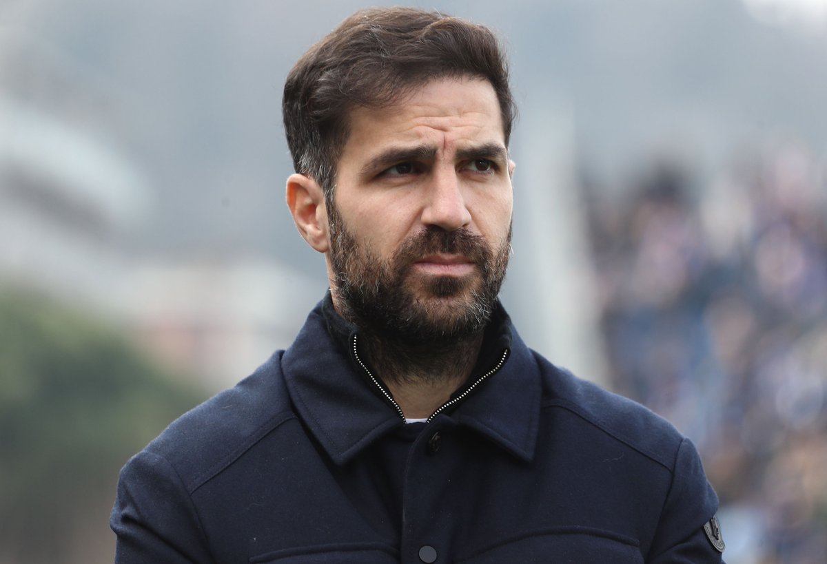 The Touchline | 𝐓 tweet media
