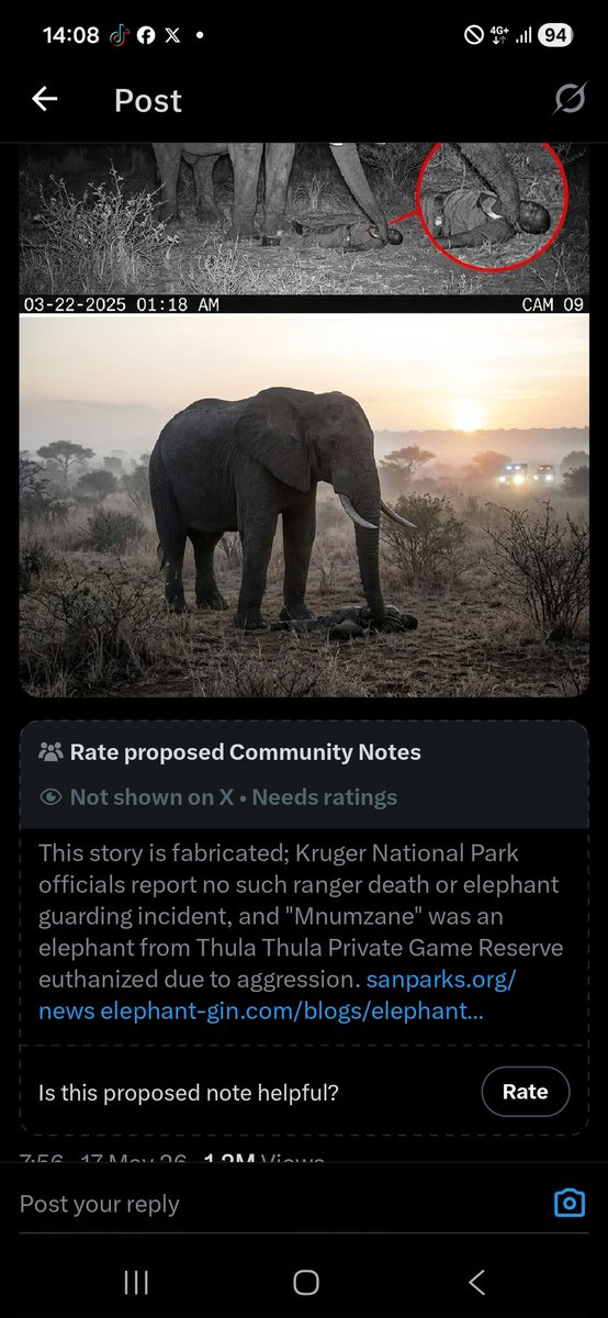 Andile tweet media