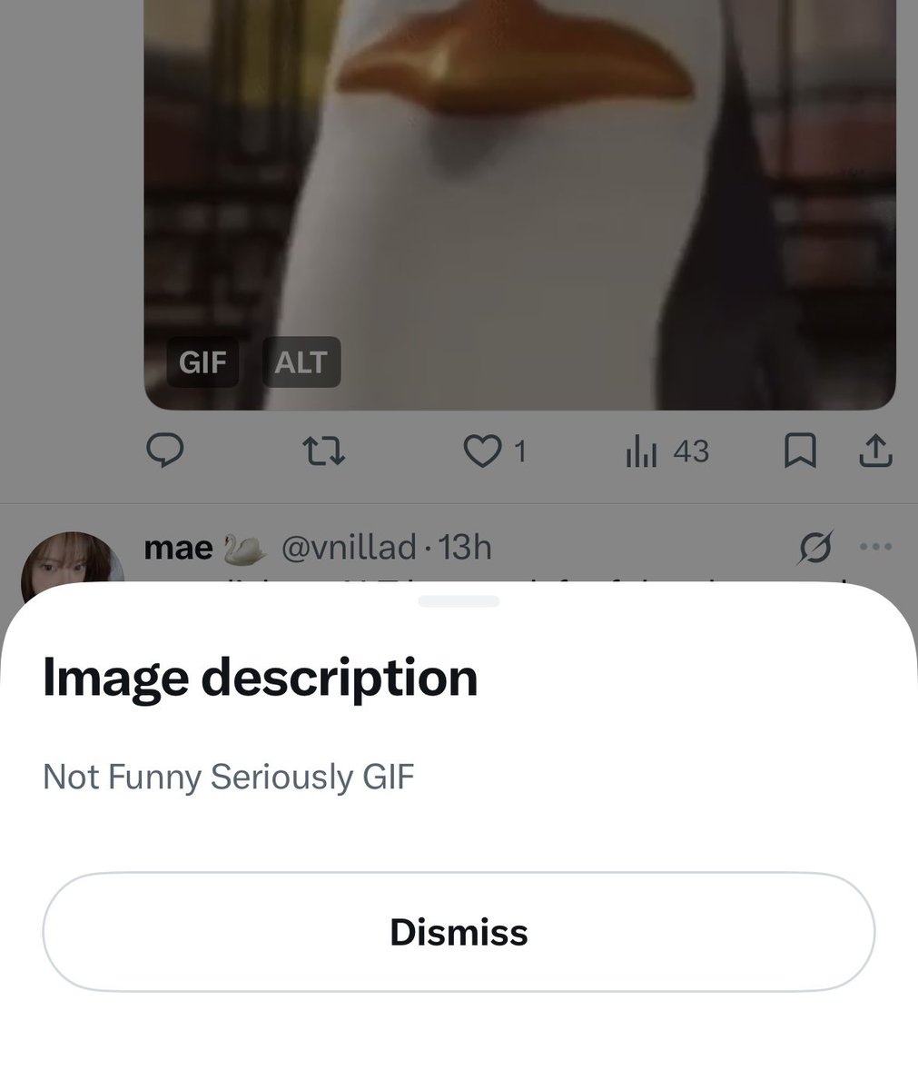 june tweet media