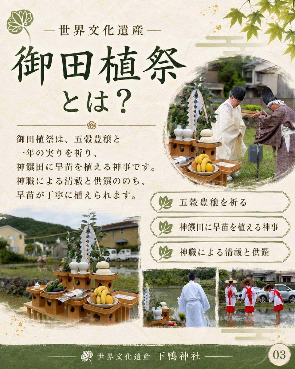 下鴨神社 tweet media