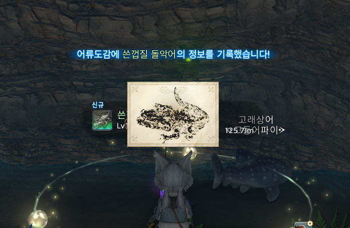 고등어 tweet media