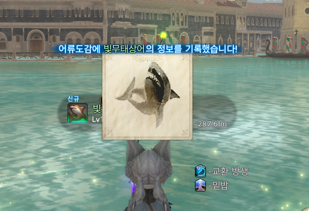 고등어 tweet media