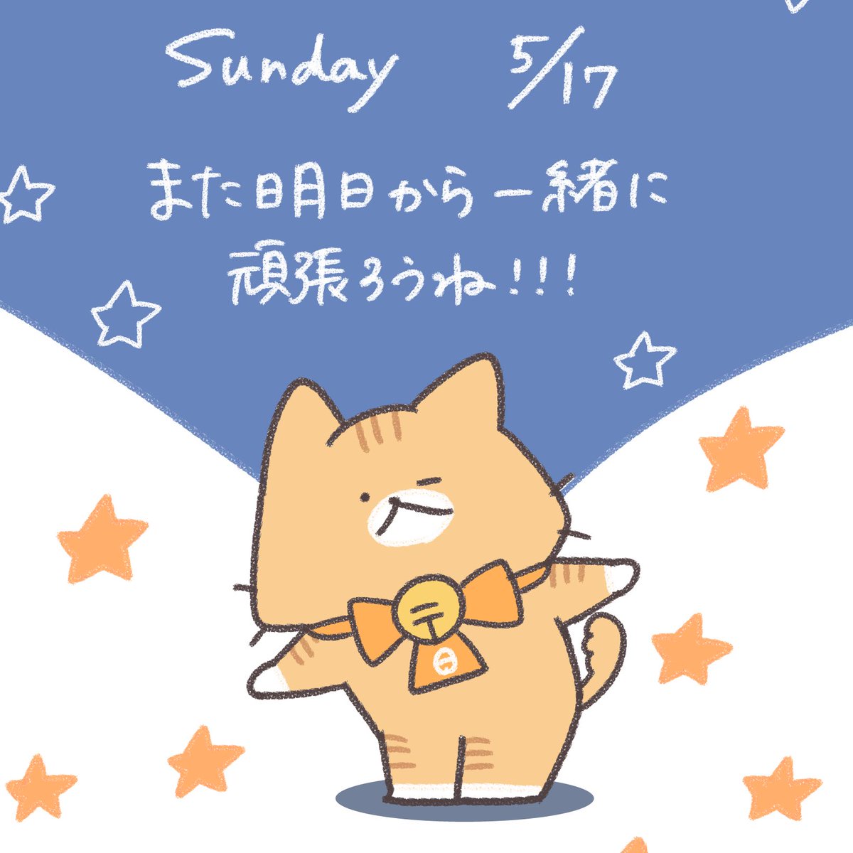 曜日にゃんこーず tweet media