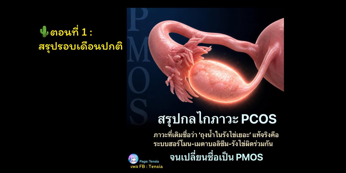 Nakorn-Core Physiology and Medical Science tweet media