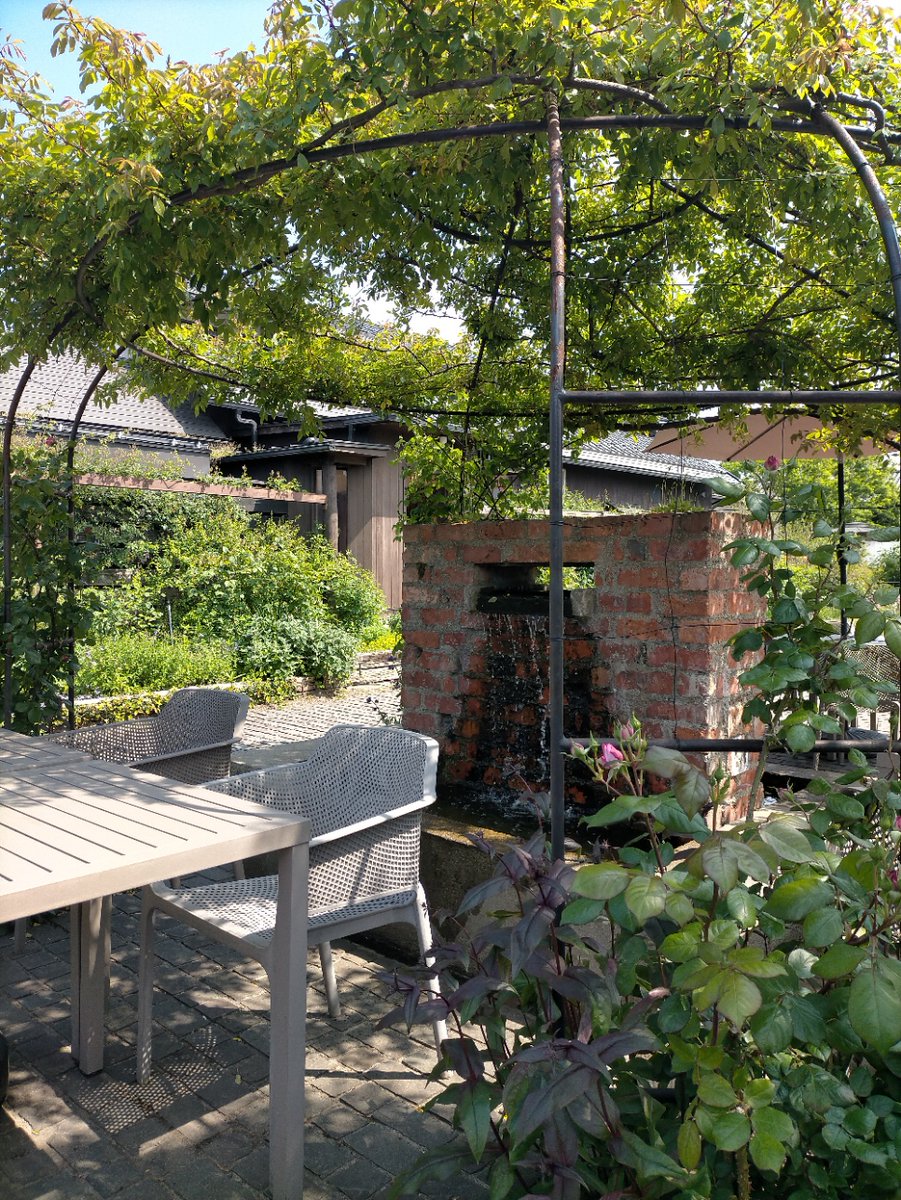meadhono's tweet photo. 先日カーブドッチに行ってきました。
広大なぶどう畑を眺めながら地元産の猪のテリーヌや鮮魚のサフランソースなど美味を堪能しました😇 https://t.co/wPGkU4xbk4