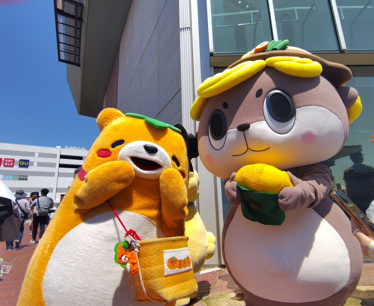 niko *またの名はnuko* tweet media