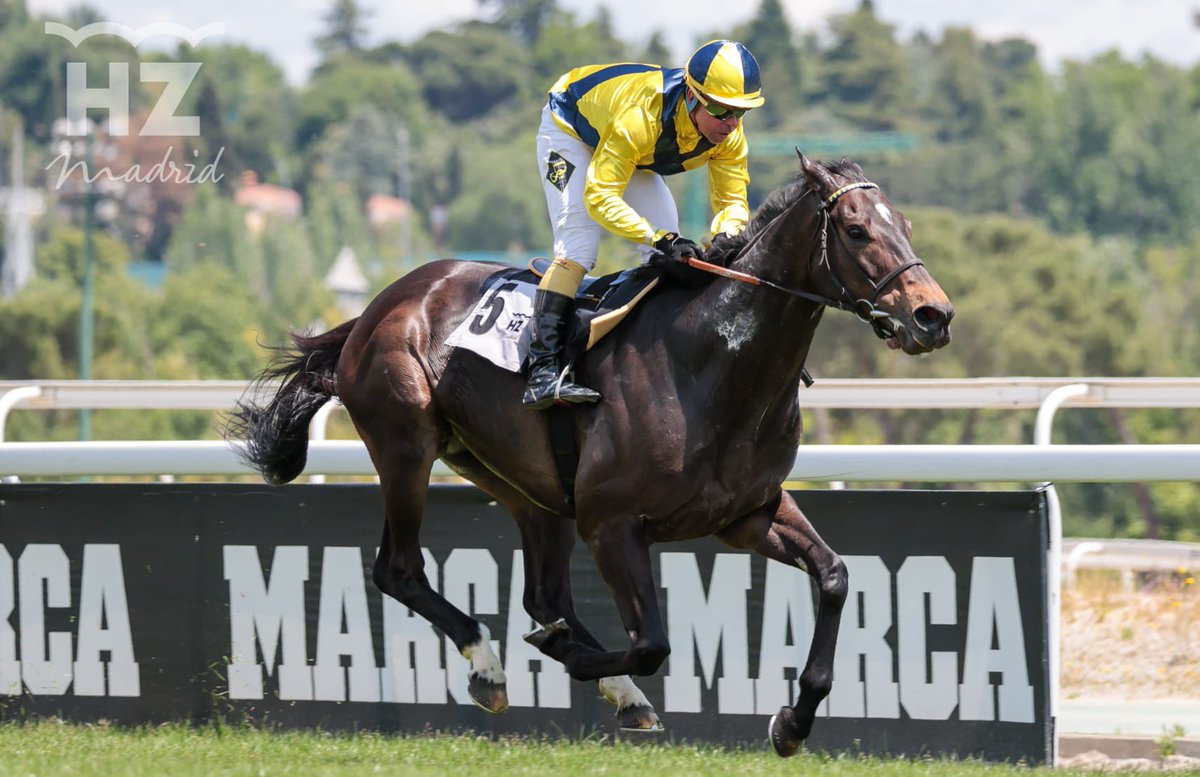 HipodromoMadrid's tweet photo. Cuarta carrera: Premio Marcos Carmena (amazonas y gentlemen) @Aegri1955 

🥇 Flight Leader, Cuadra Río Cubas, preparación de Óscar Anaya y monta de Diego Sarabia 
🥈 Dame Audiencia 
🥉 Grey Tornado 

¡Enhorabuena a los ganadores!🏇🏆 https://t.co/RYUr0PMWHT