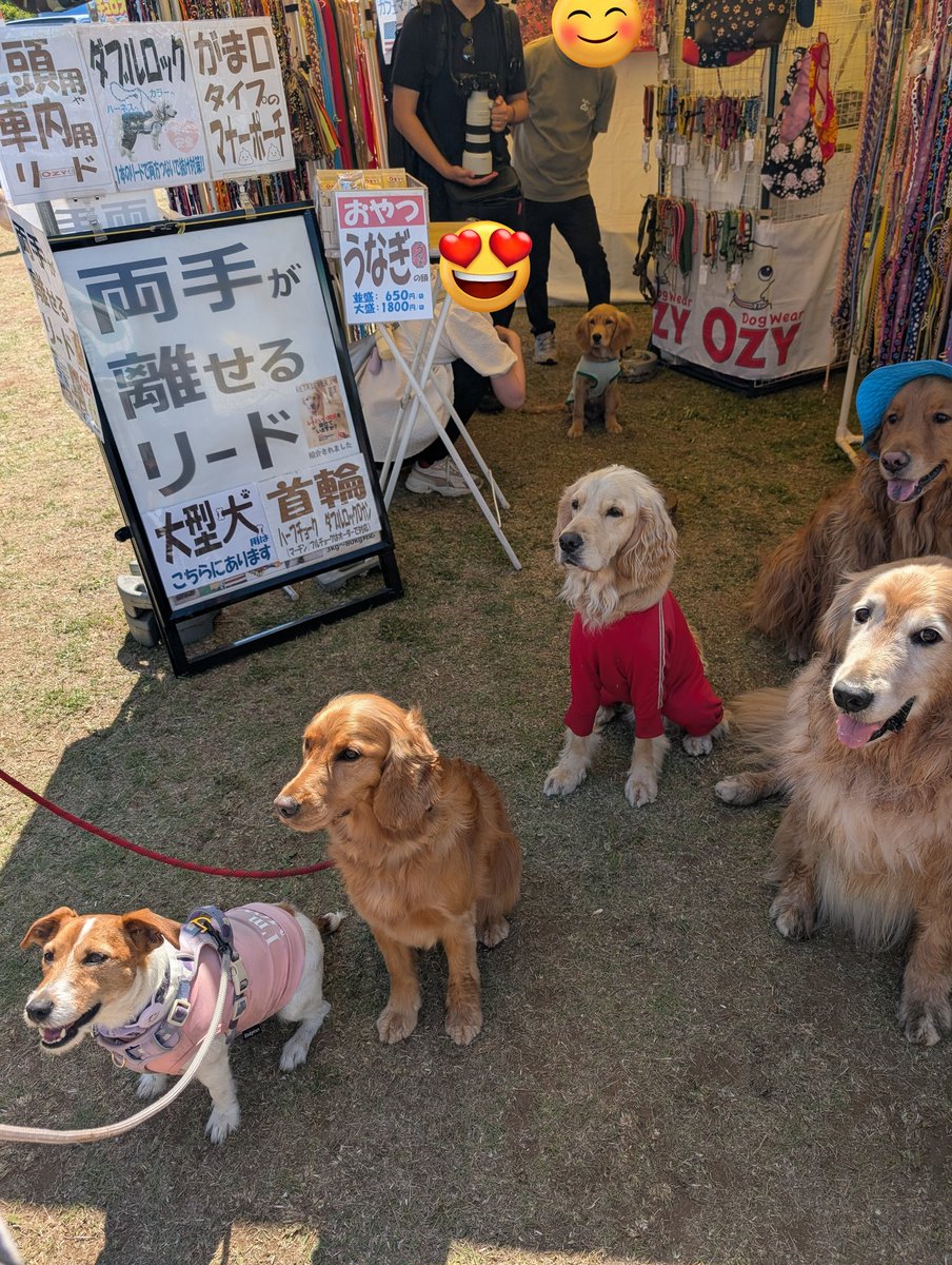 ゆきたろう tweet media