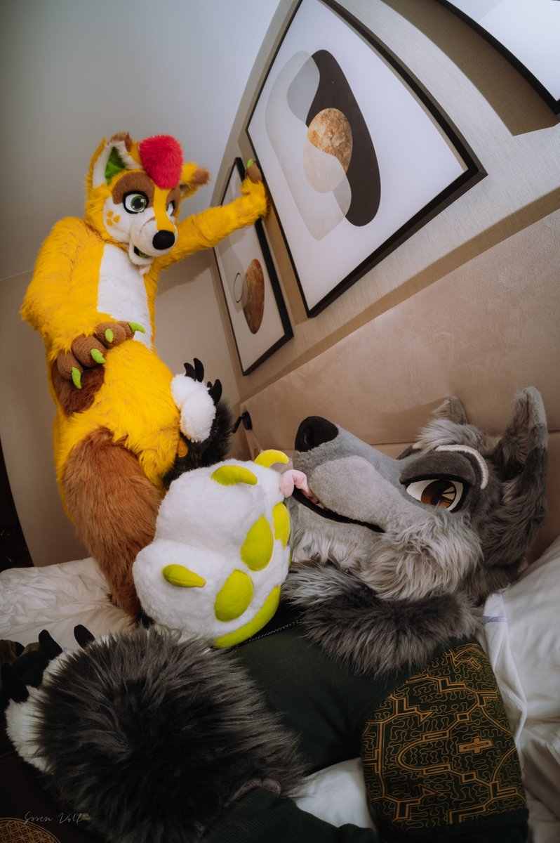 🦊 Yellow Boytoy 🔞🪢🐾 tweet media