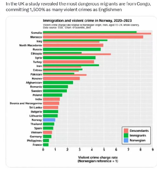 Maximil86429959's tweet photo. If 'diversity is our strength', then why are there so many non-nationals in Irish courts every day for various different crimes committed &amp; why are there so many non-nationals in Irish prisons?

This is clearly not a strength. We are being seriously gaslit to the utmost degree.👇 https://t.co/XXY1kB4WmM