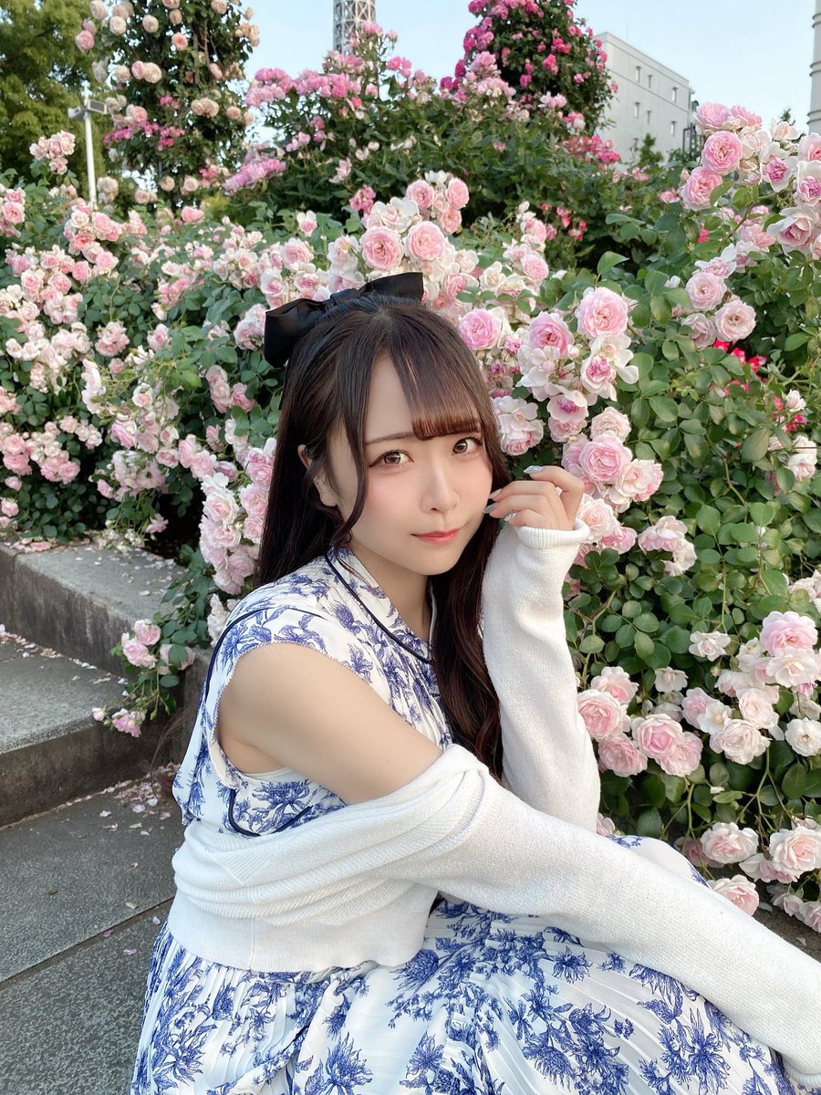 吉田琴音【KissBee】🐭 tweet media