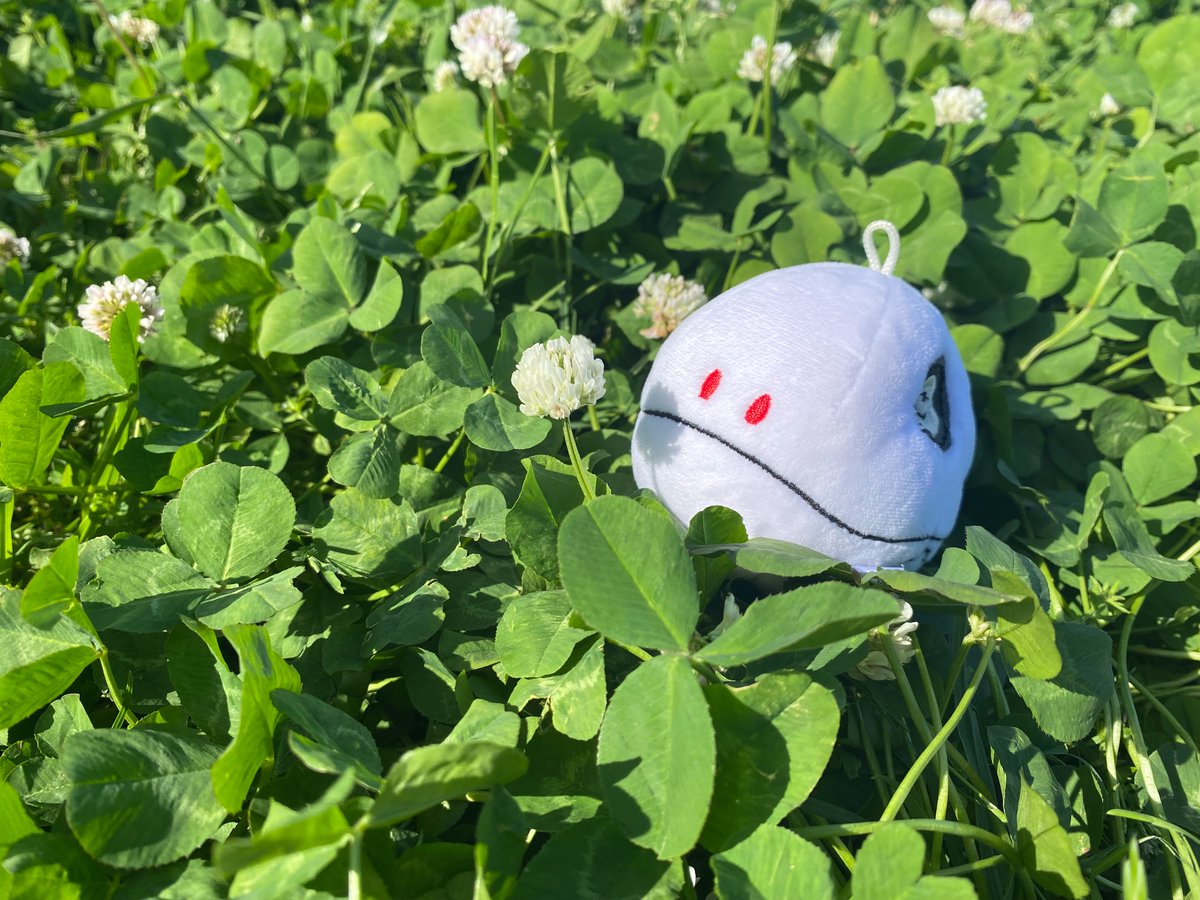 Post by ざき on X: ☘️⚪️