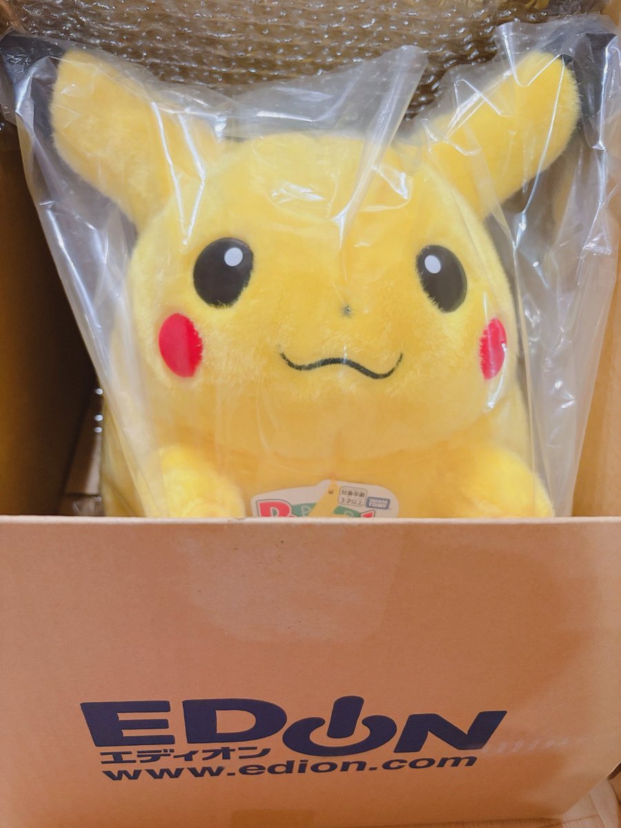 おかえり ピカチュウ エディオン産 即日発送 1枚目今日来たエディオン産ピカチュウ🌟 2枚目ポケセン産おかえり