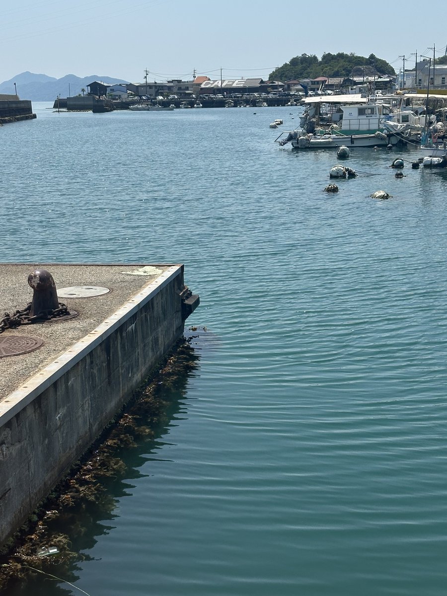 毎日新幹線や船に乗って旅人気分🚅🛳🌊