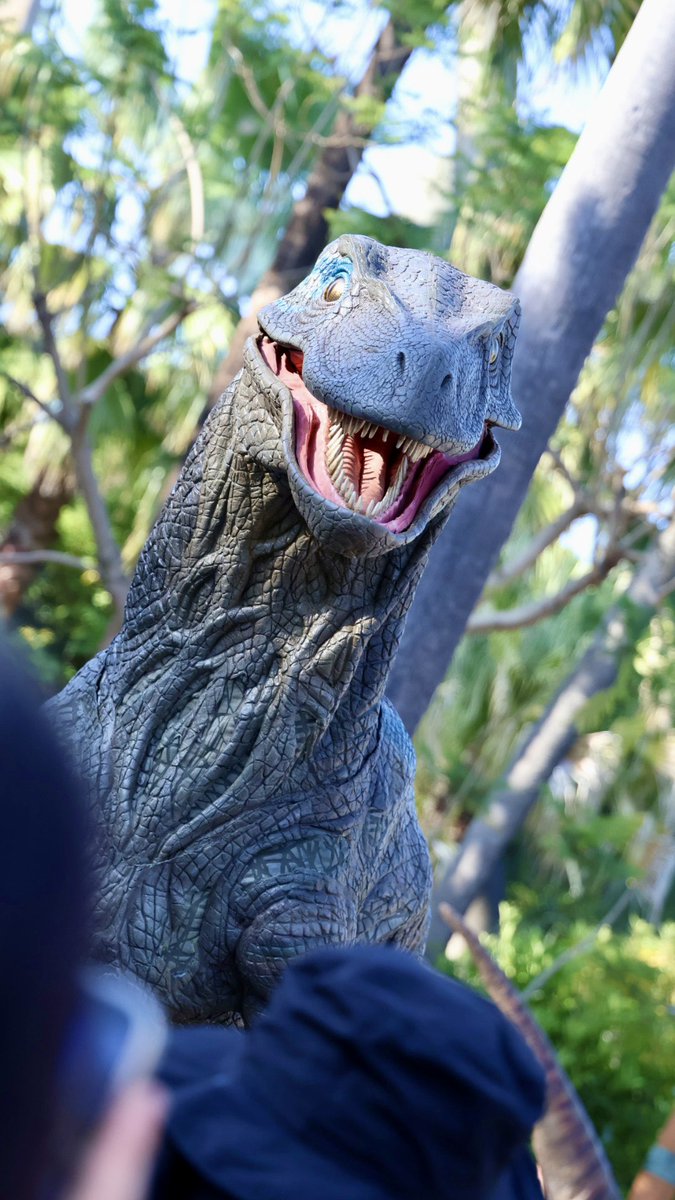 usj_23as's tweet photo. ジュラシック・ワールド ラプターアラート

#USJファン https://t.co/B9Eq4lxJgv
