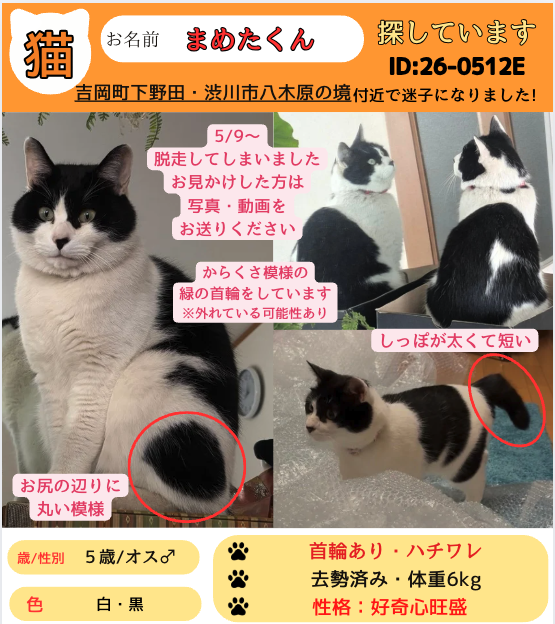 キャットプロ株式会社 tweet media