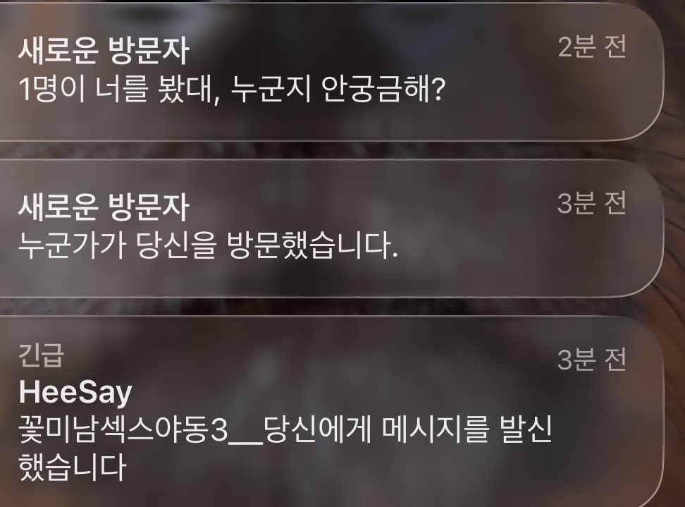 한세 tweet media