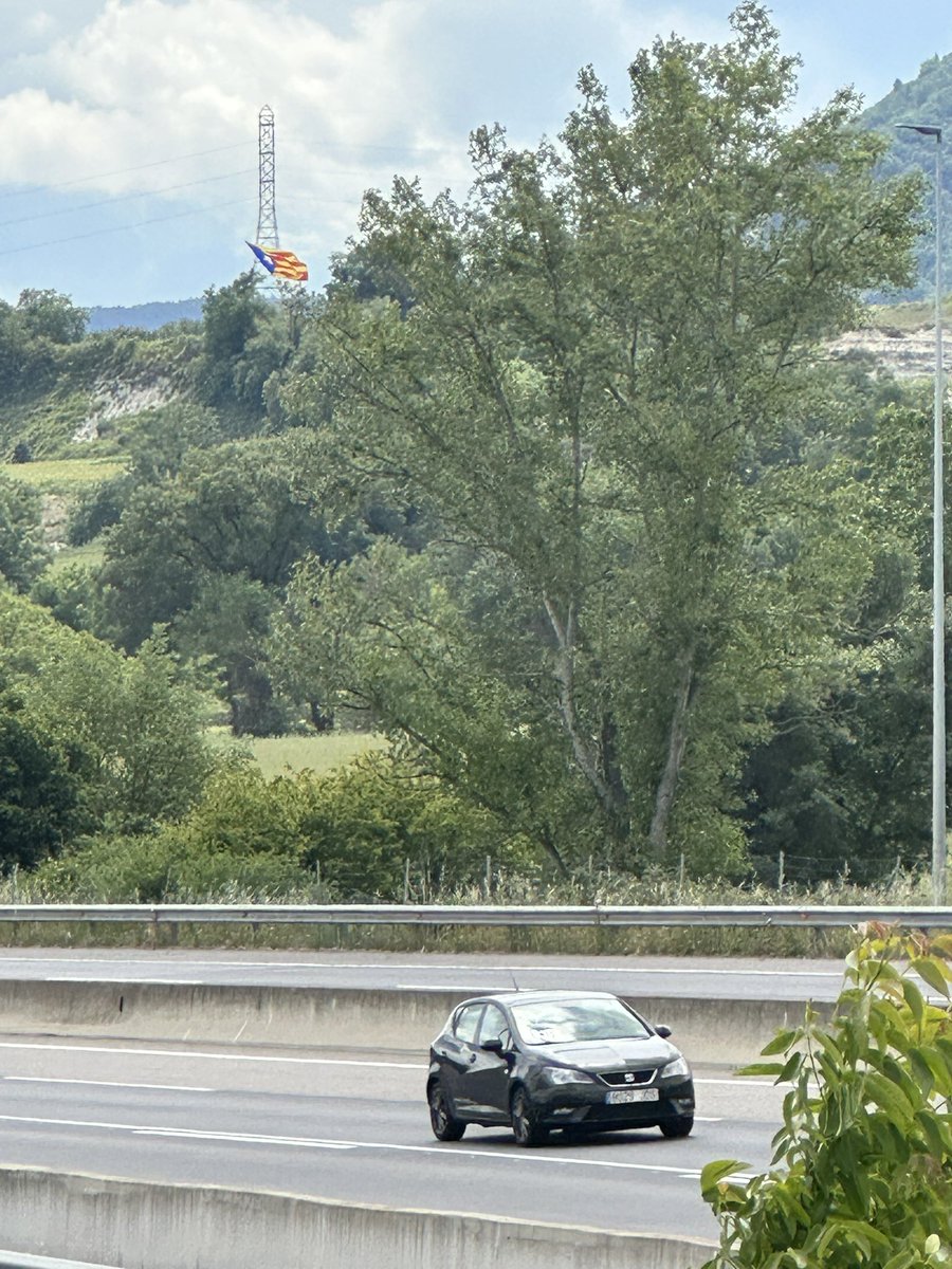 Cèsar Lagonigro tweet media