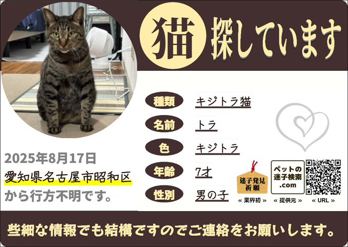 maigokensaku2's tweet photo. 2025年8月17日 愛知県名古屋市昭和区で「キジトラ猫」の「トラ」が迷子になりました。#迷子 #猫 #迷い猫 #ネコ #愛知県 #キジトラ猫 | 猫の迷子 | ペットの迷子検索.com https://t.co/awzrzLmpXF https://t.co/d5DkSts8oD