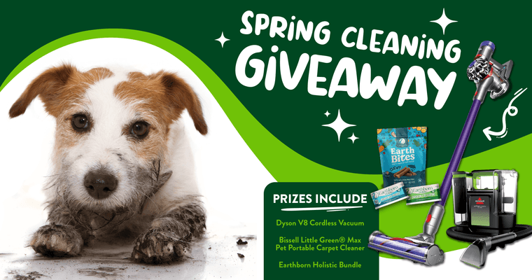 midmodiscounts's tweet photo. Win a Dyson V8 cordless vacuum, a Bissell carpet cleaner, and a bundle of dog treats or wet cat food!

https://t.co/KmSMzUTLBd https://t.co/Yo8UVu0k1L