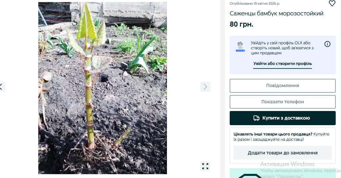 Венечка Ерофеев tweet media