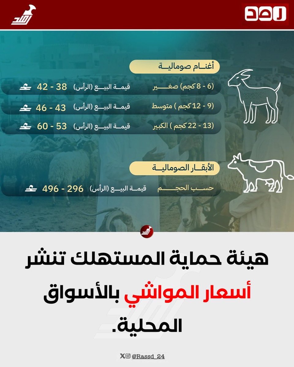 رصد tweet media