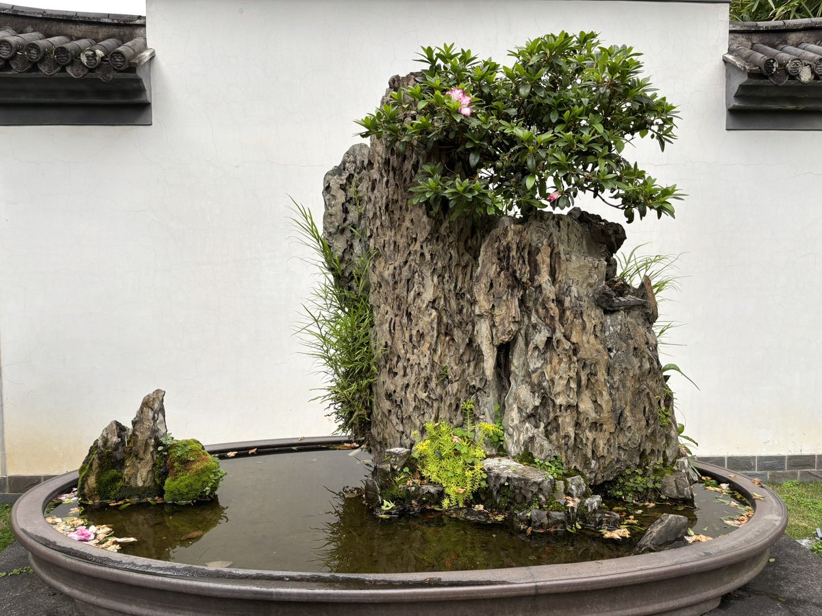 kl75444's tweet photo. 依旧老年人 https://t.co/O1uAeL3qND