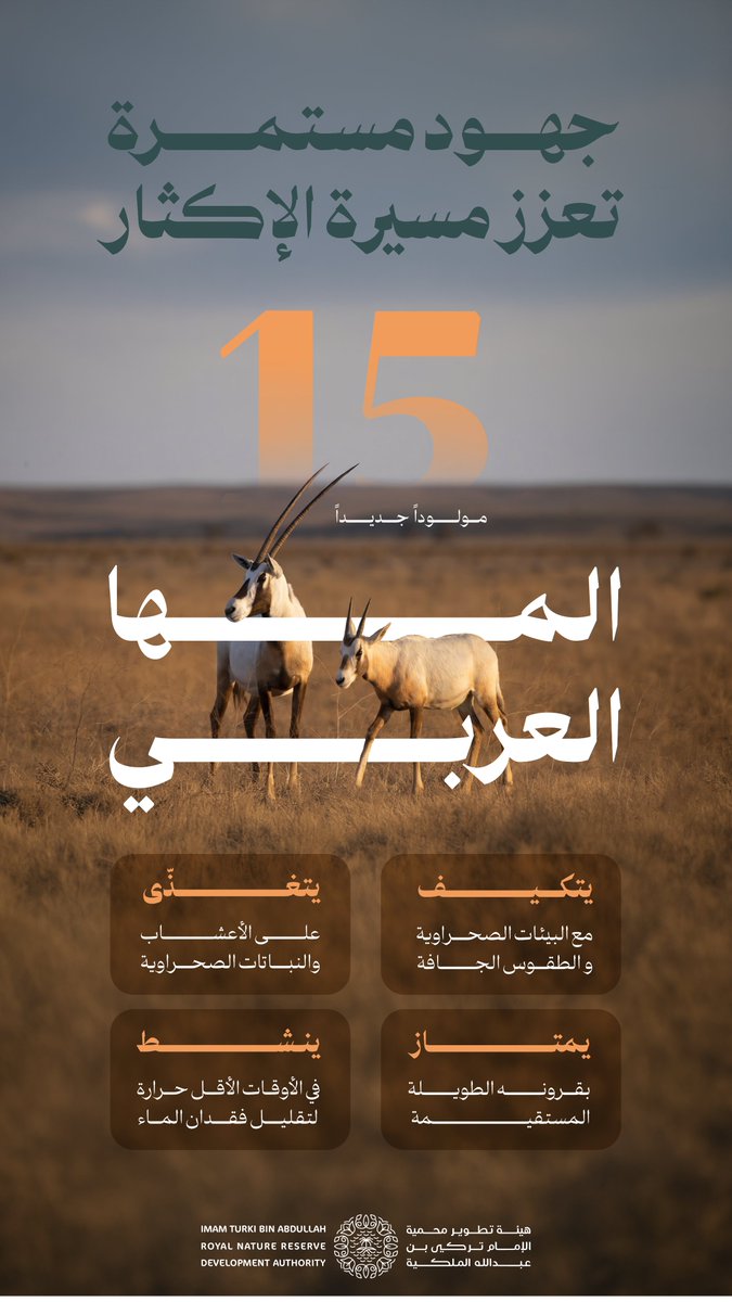 هيئة تطوير محمية الإمام تركي بن عبدالله الملكية tweet media