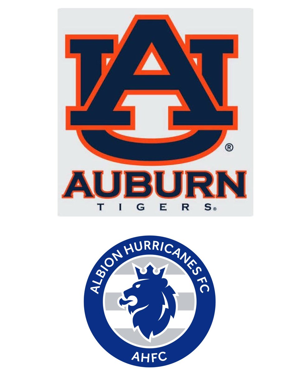 Albion Hurricanes FC tweet media