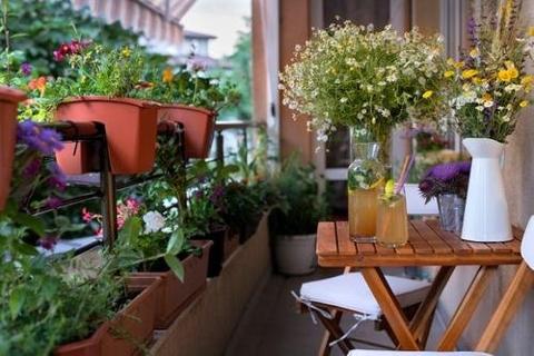 bpatrickremax's tweet photo. A trend that's practical, friendly to small patios and balconies, and stylish? Yes, please! https://t.co/CRaoavhv2T https://t.co/T9XZhuatHG