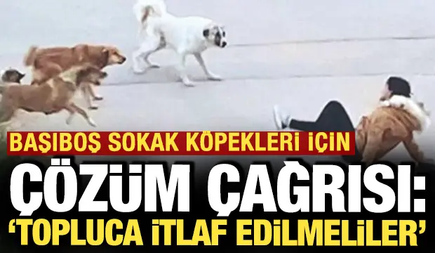 Haber 7 tweet media