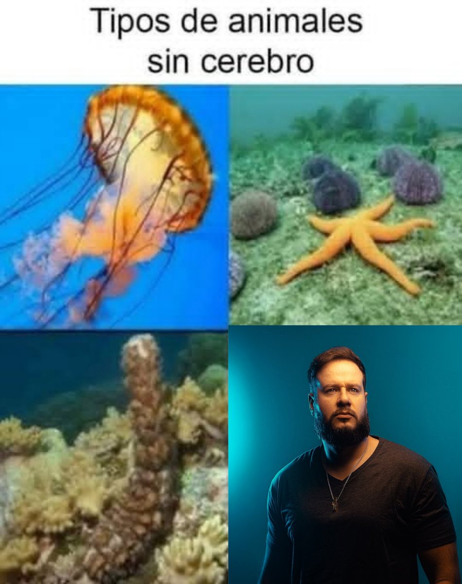 Señor exprópiese tweet media