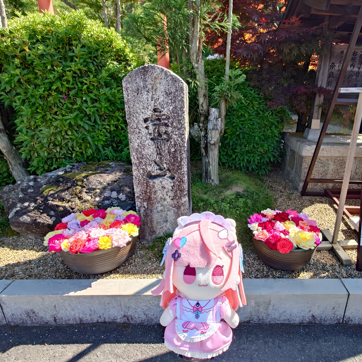 HTAWA29's tweet photo. 靈山寺に行ってきました!
本日は「薔薇会式・えと祭り」が行なわれていて非常に華やか✨️
本堂で薔薇を1輪いただきました🌹
736年 (天平8年) 創建
法相宗のお寺であったが
平安時代に弘法大師により真言宗が伝えられてからは
法相宗と真言宗の2宗兼学の寺となる
#さくなぬいtrip
#397cp https://t.co/B6BRnEtXmP