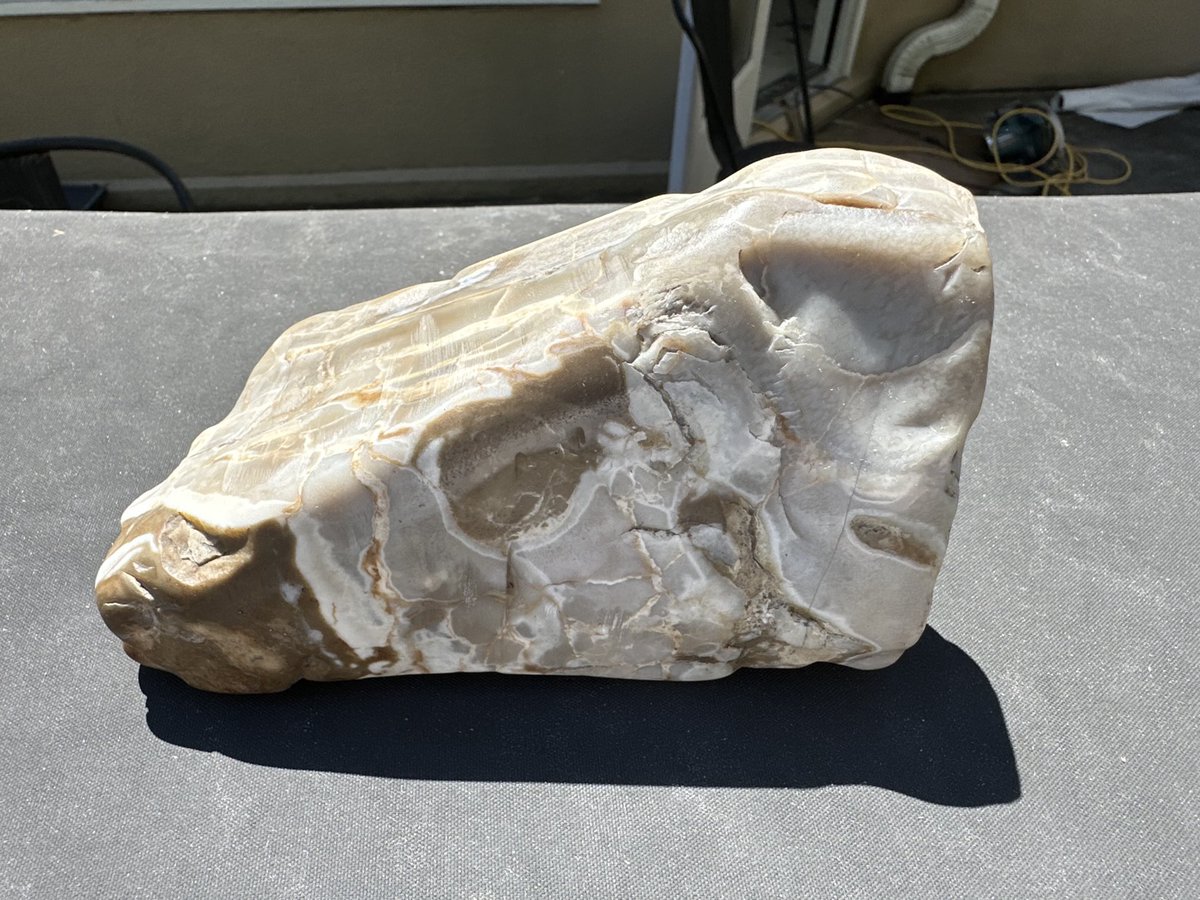 ArbiserMd's tweet photo. I found and polished this flint from Jerusalem,Israel https://t.co/WAtvJyYAWI
