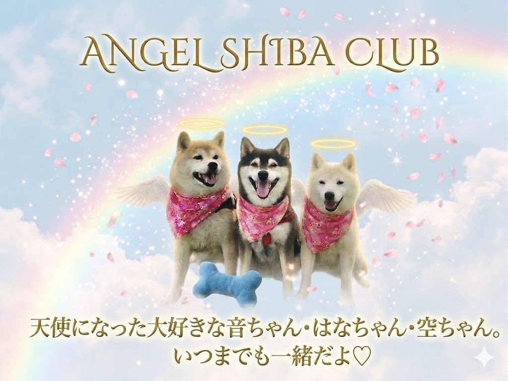 Shelly_Qoo's tweet photo. @hanachanmama 喜んでいただけて良かったです✨
AIが修正を提案してきたのでお願いしてみました。はなちゃんはおもちゃで遊ぶのが好きだったよと言ったらおもちゃが追加されました😆ANGEL SHIBA CLUBはAIからの提案ですw何だか素敵なのでそのままお願いしました💕🤣
これで完成ということで…💓🤲🏻💫 https://t.co/ZVvMHd19Uw