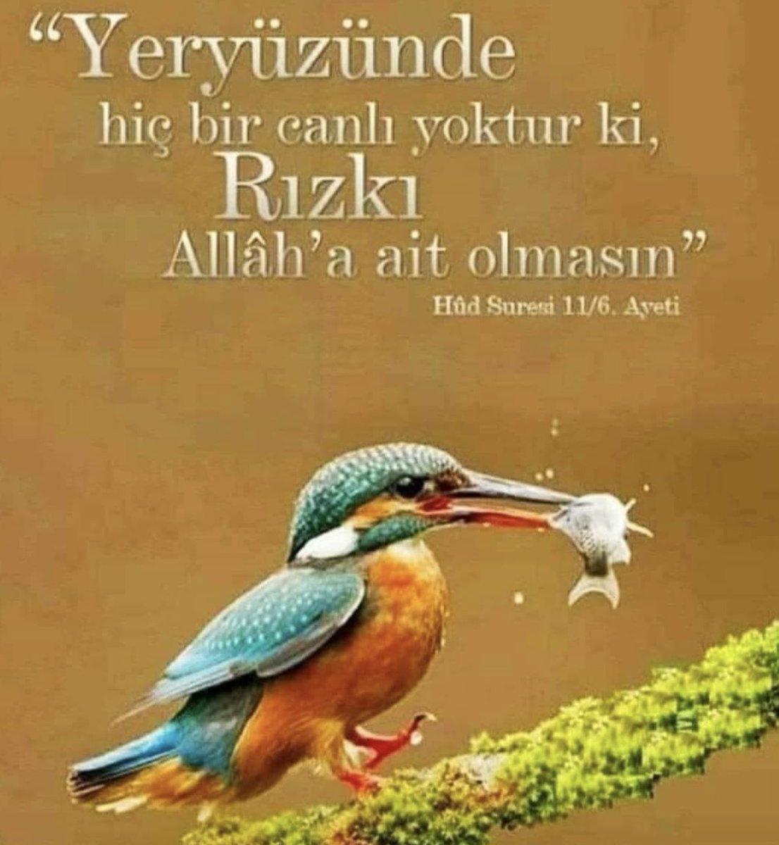 Adem Atmani tweet media
