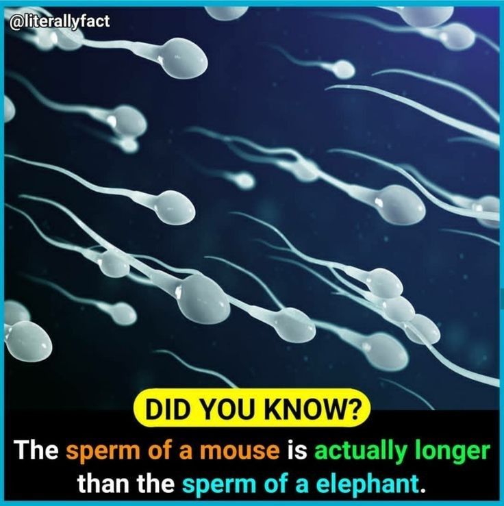 Did You Know? tweet media