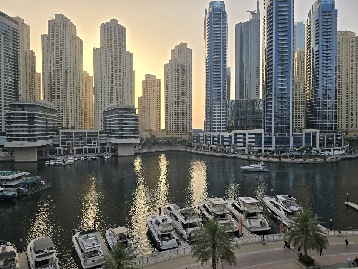 CrypτaoShluϙ | Dubai tweet media