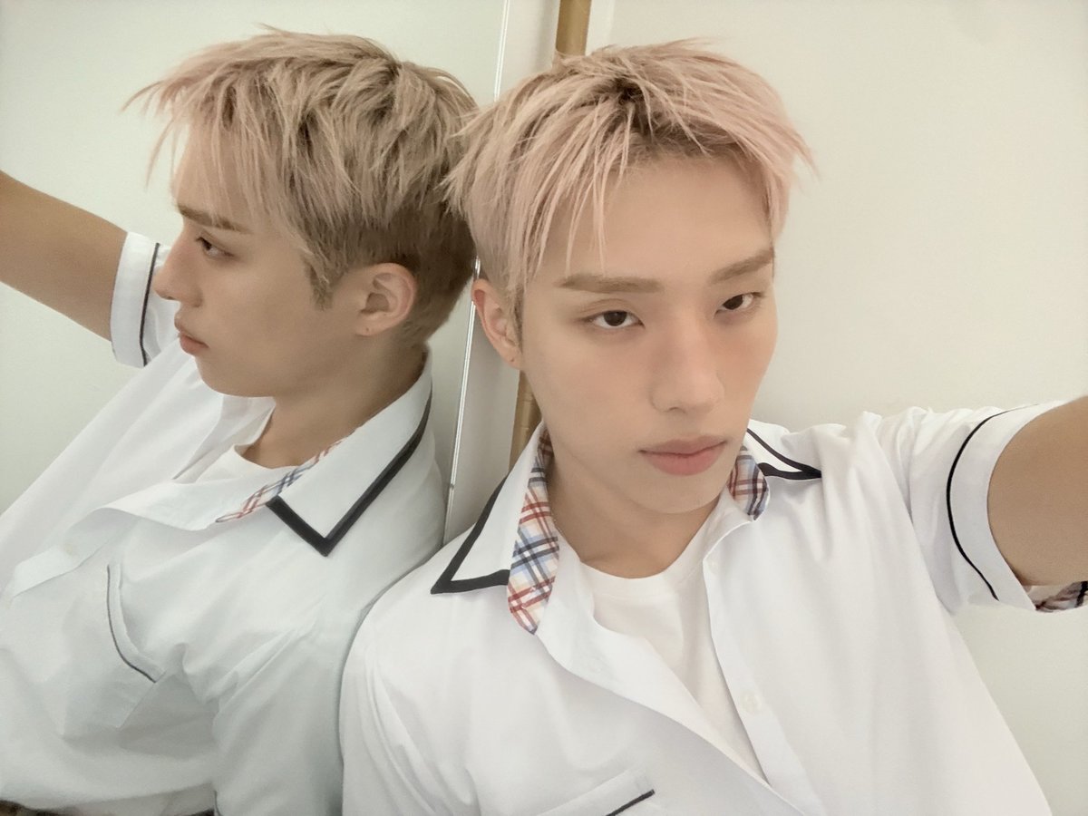 쿄모 tweet media