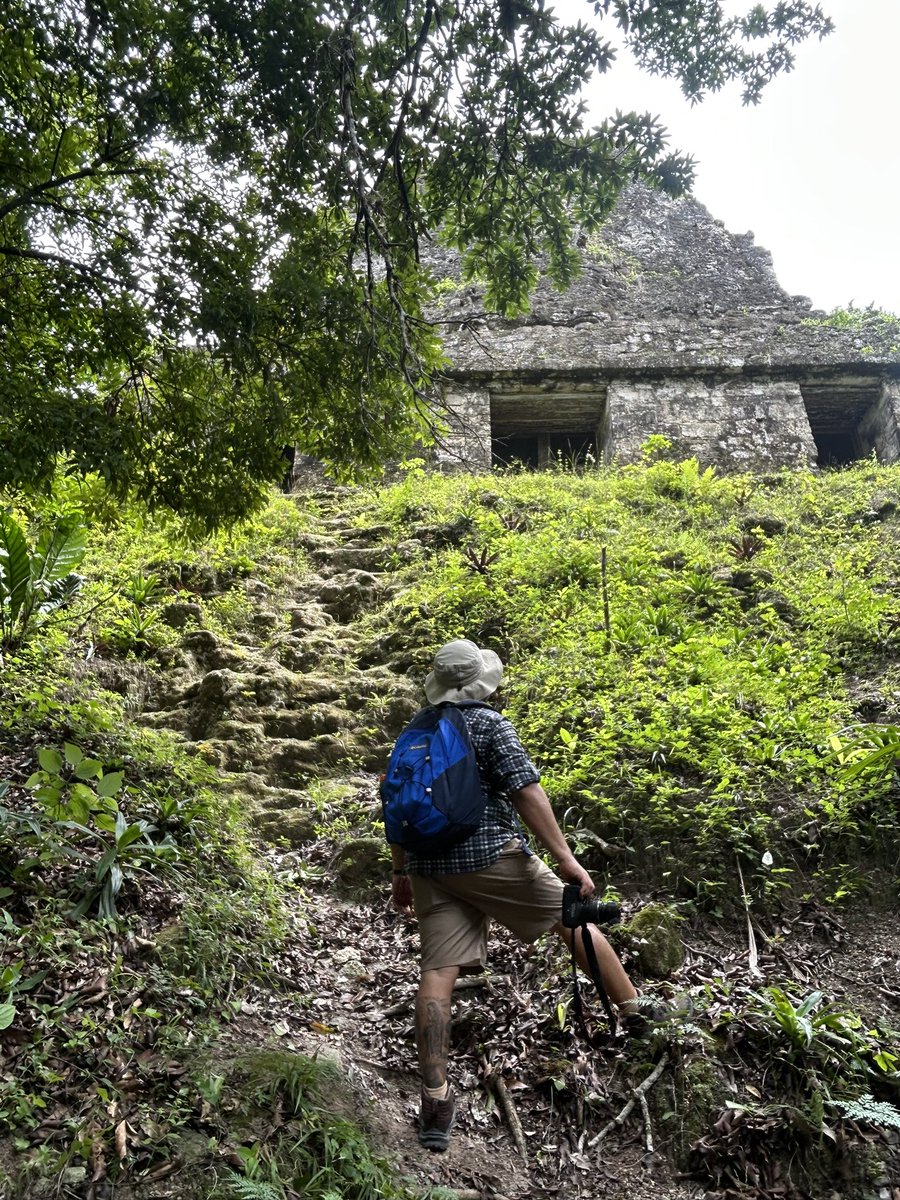 cesarsolergt's tweet photo. #Petén🇬🇹es reconocido mundialmente por su riqueza cultural y natural, así como la autenticidad de sus experiencias y destinos🇬🇹🐆🐒🐊🌳💚 https://t.co/wub6BnhjLx