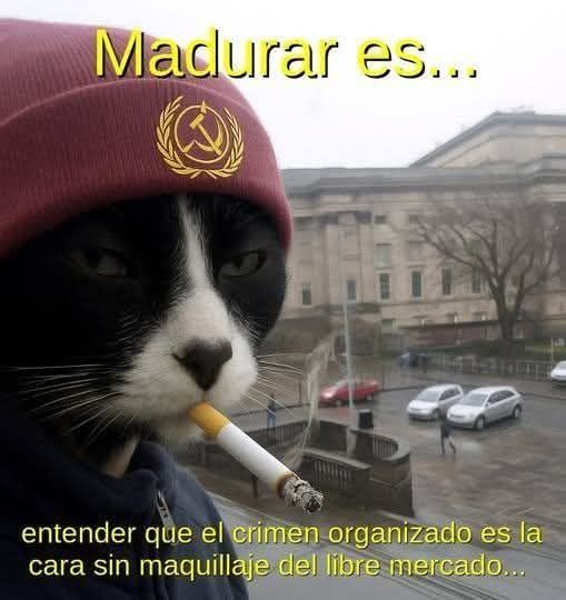 Victor Guerrero tweet media