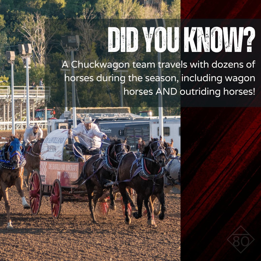 CS Chuckwagons & Relay tweet media