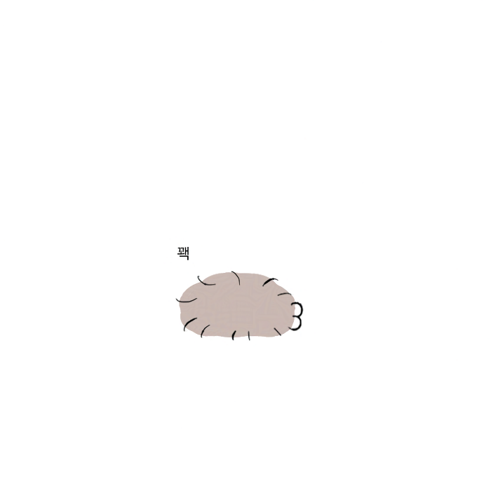 침대가 좋아 돕 tweet media