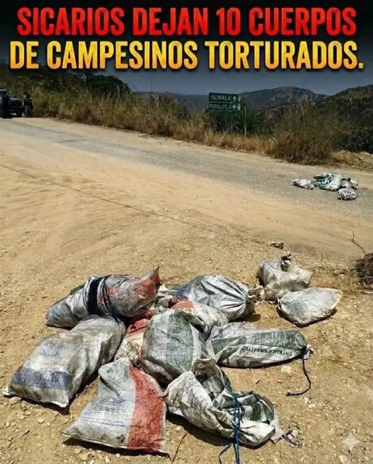 🇲🇽🇪🇸LIBERTAD SEGURA tweet media