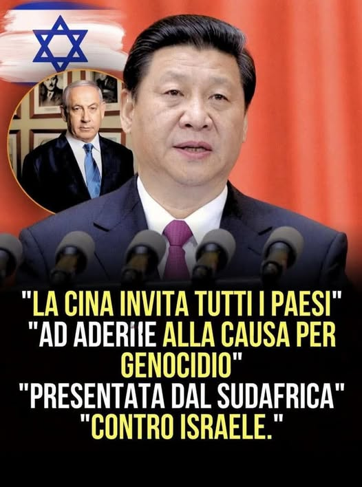SereBellardinelli tweet media
