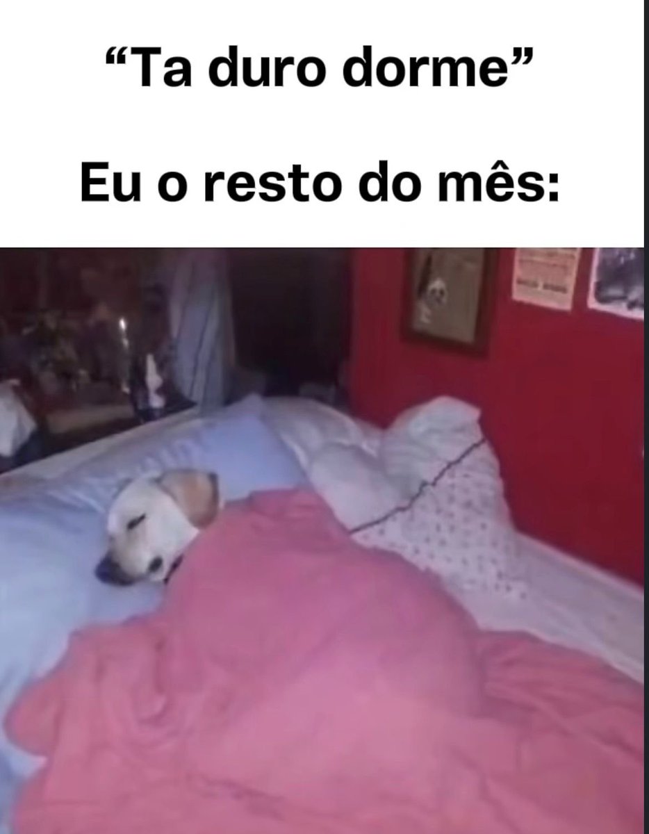 gatuna das promoções tweet media